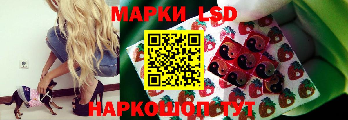 Одинцово  Марихуана  Меф кристаллы  COCAIN  Вход с VPN  АМФЕТАМИН кристаллы  МЕФ  Вейп ТГК  МДМА  Гашиш  ЭКСТАЗИ 