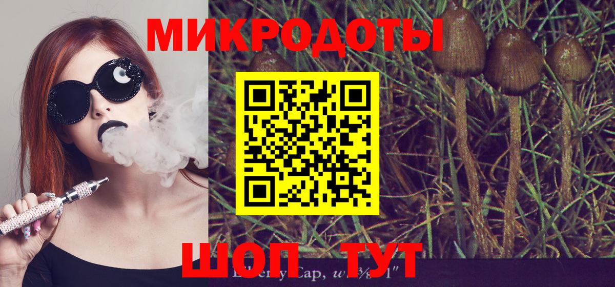 Псилоцибиновые грибы Psilocybe Одинцово